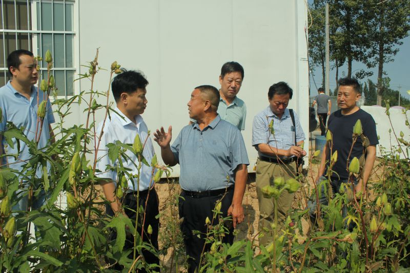 5f5ee4fc86c40.jpg 5f5ee4fc86c40.jpg